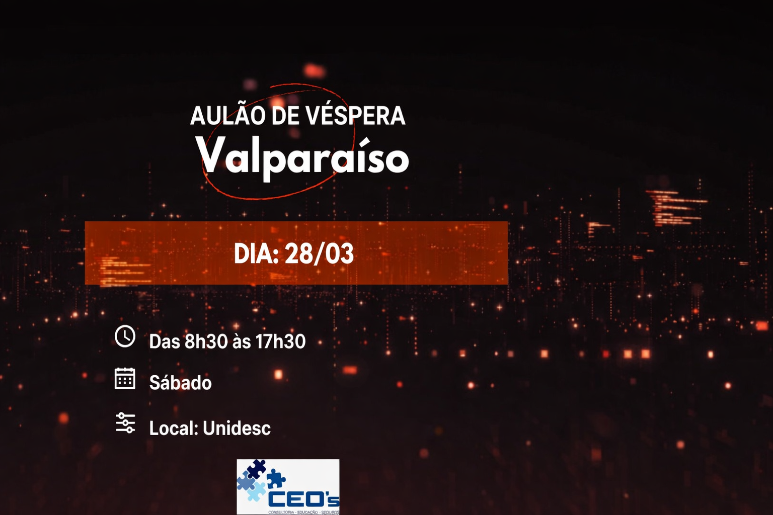 CEOs - gestao de projetos